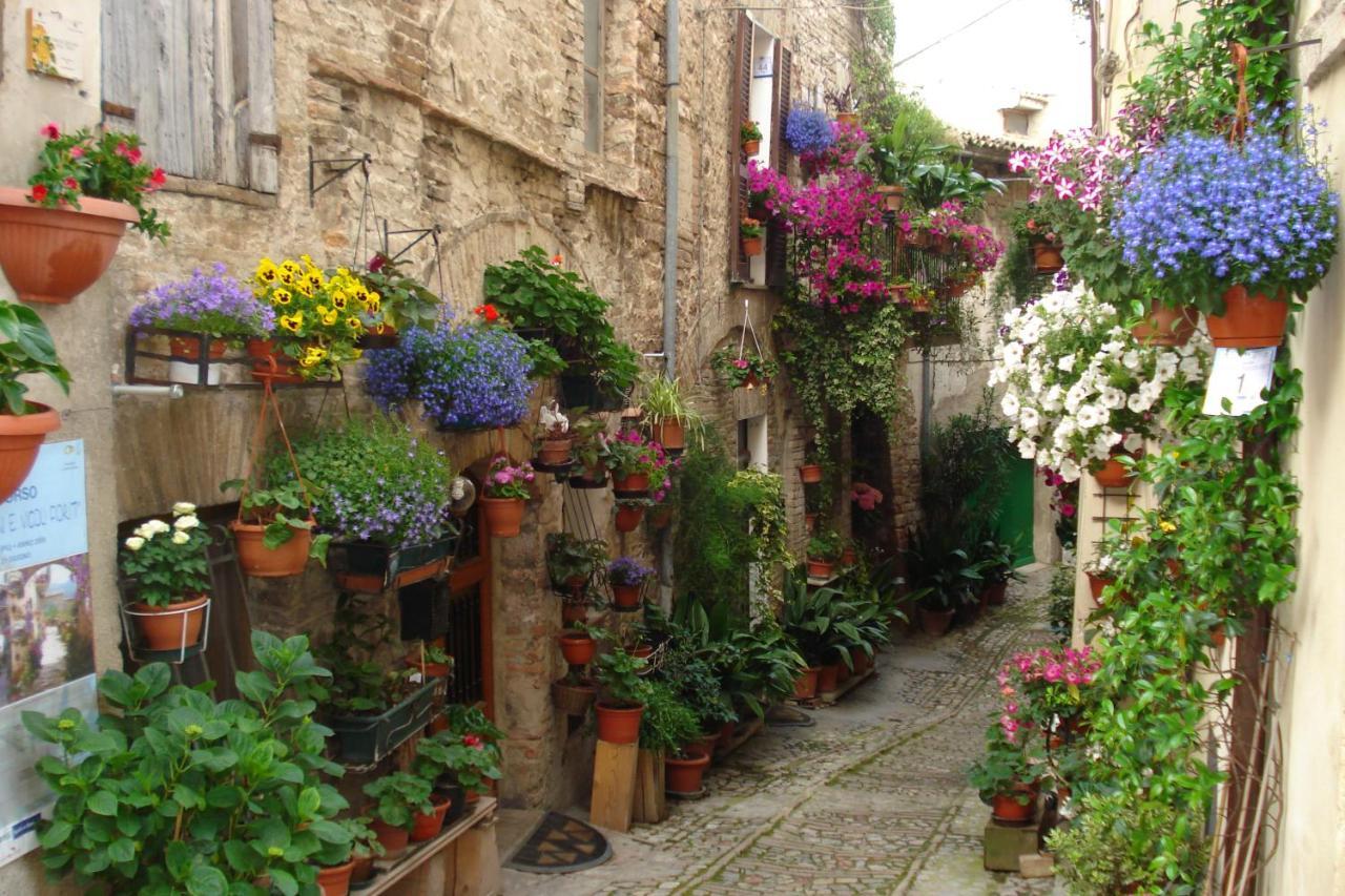 B&B Il Sognatore Perugia Buitenkant foto