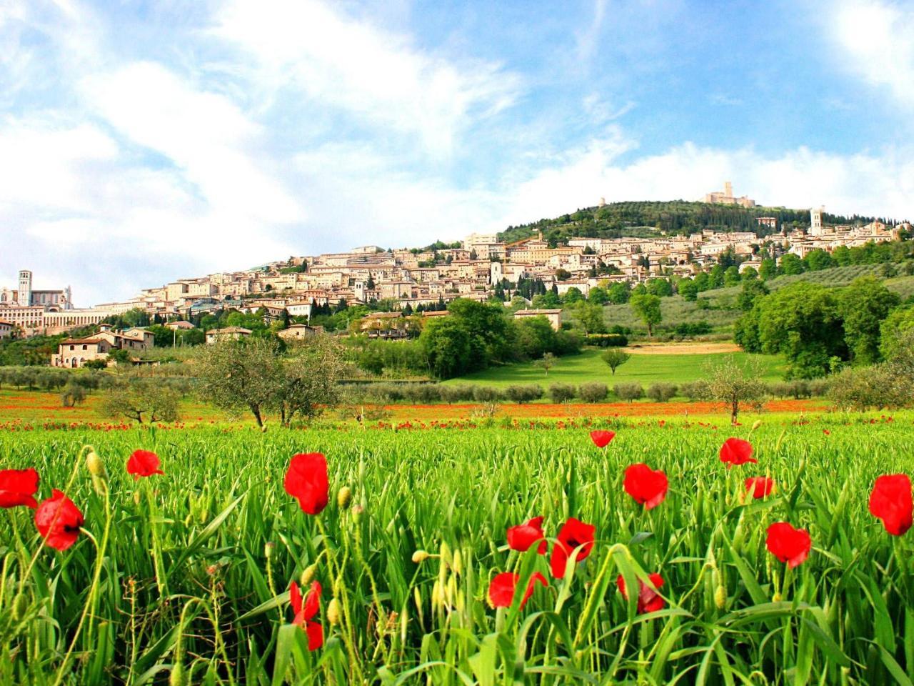 B&B Il Sognatore Perugia Buitenkant foto